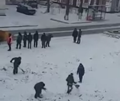 В Петропавловске косят траву под снегом (видео)