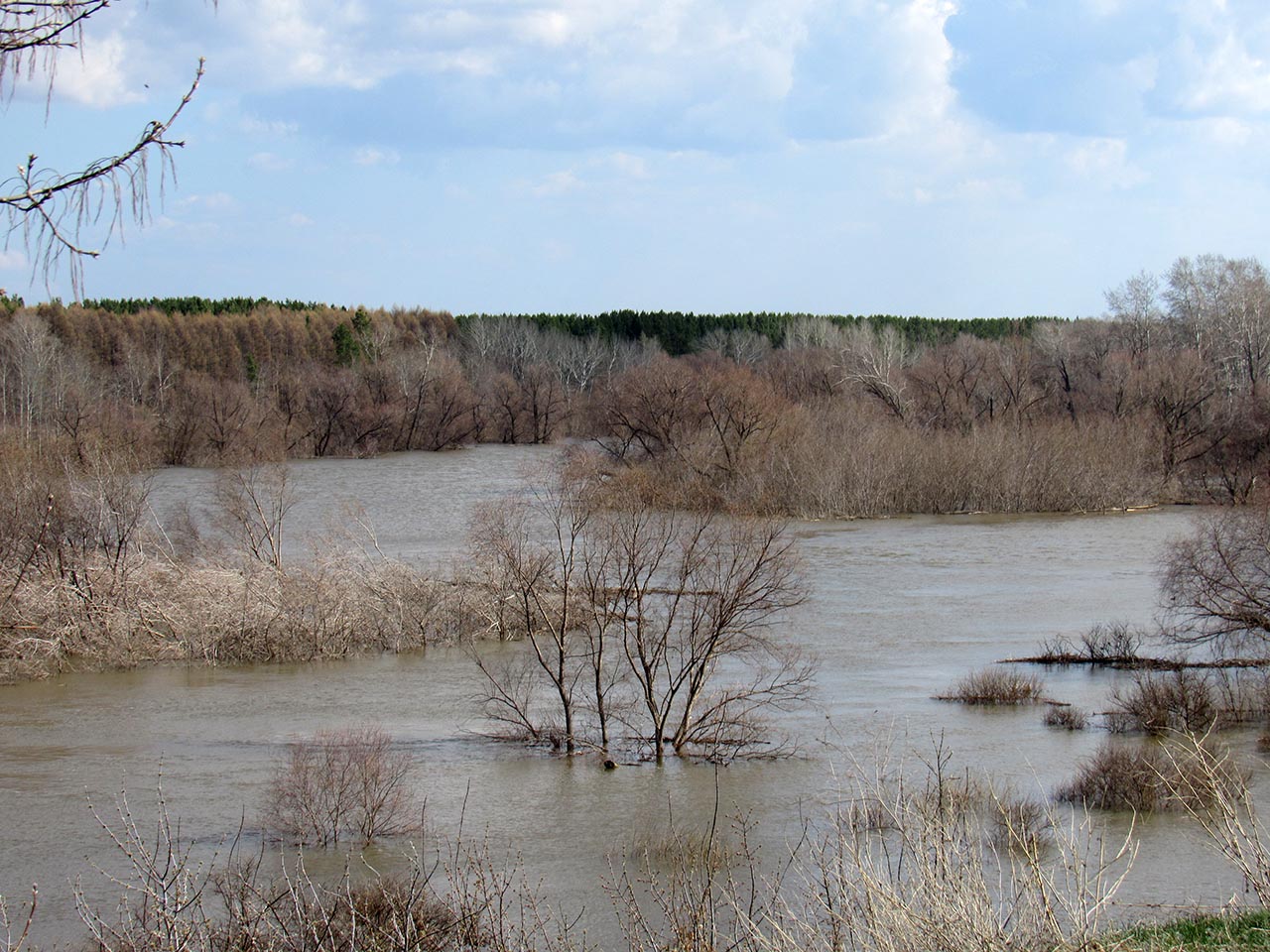 Вода в Ишиме на севере Казахстана поднялась на метр за сутки