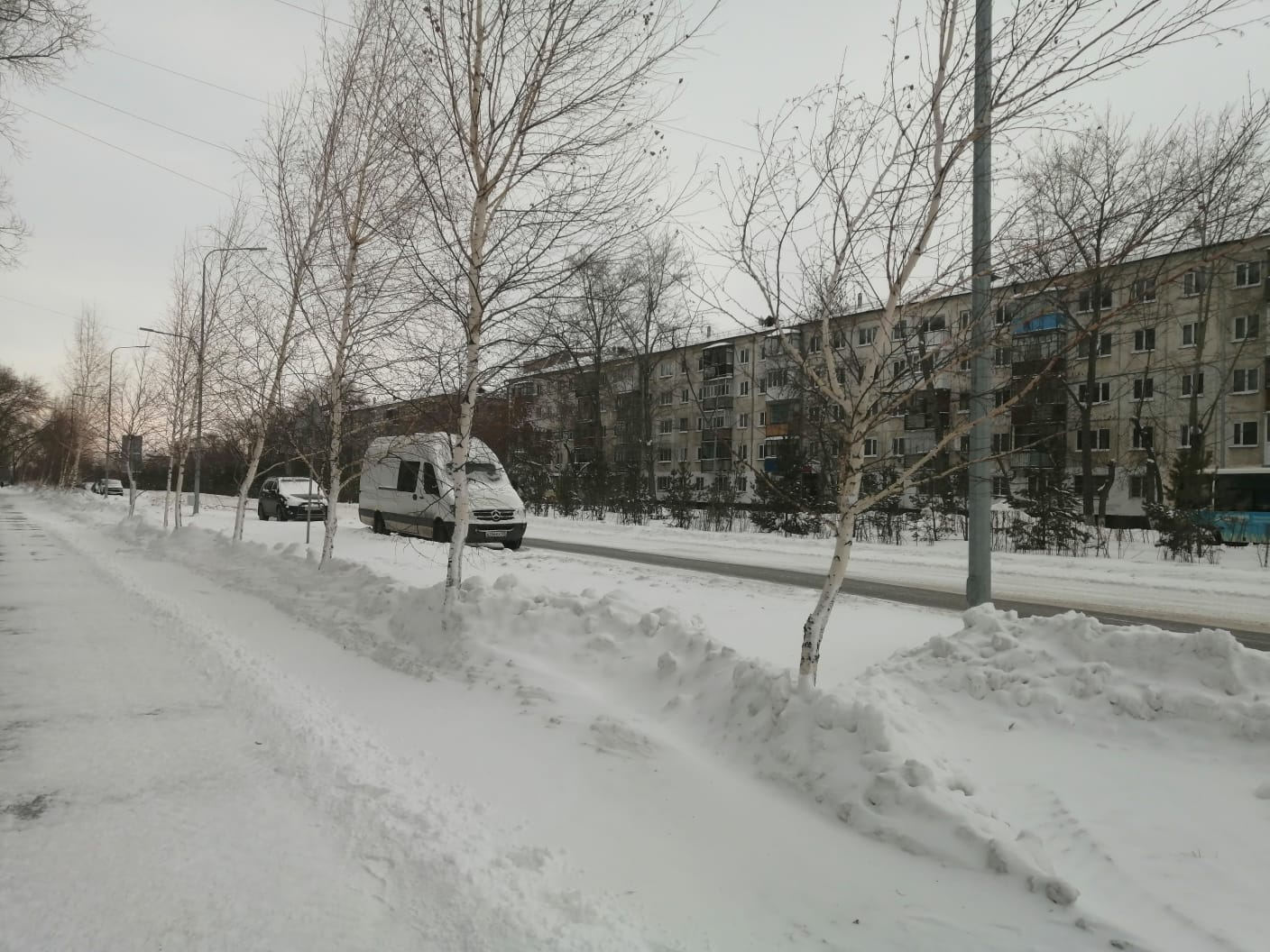 снег улица деревья