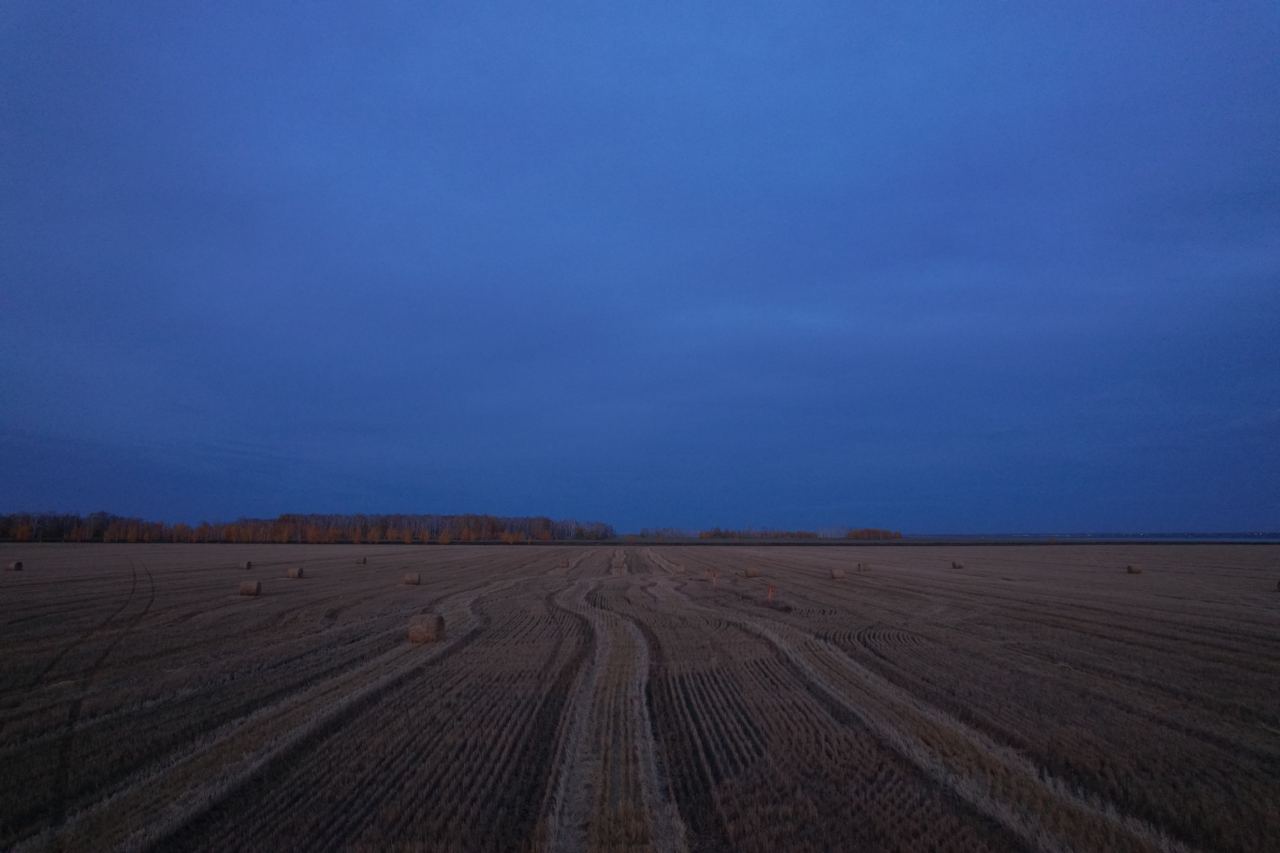 поле ночь сено