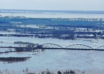 В Петропавловске за сутки уровень воды на реке Ишим снизился на 30 см