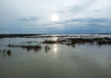 Вода быстро уходит: уровень Ишима в Петропавловске снижается