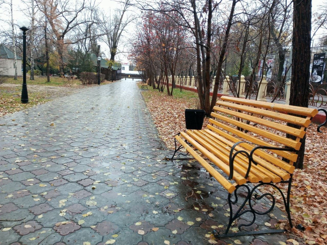 скамейки в парке Петропавловска осенью